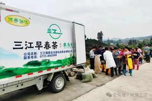 文章附图
